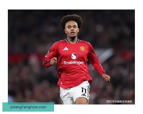 拉杰欲曼联清洗八将筹资一亿齐尔克泽或将成为新核心